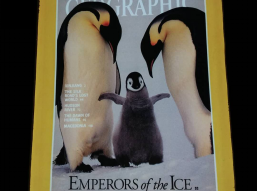 201804261524710430311914.png 图片25.png