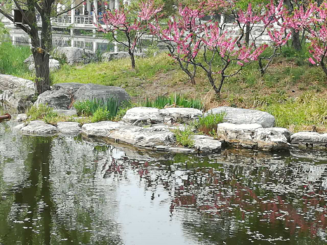 201804261524711325142317.png 图片33.png