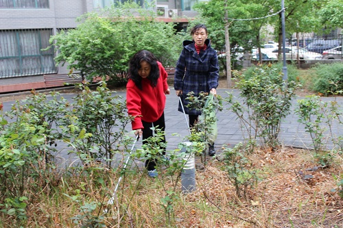 201804261524729244380668.jpg IMG_9162_看图王.jpg