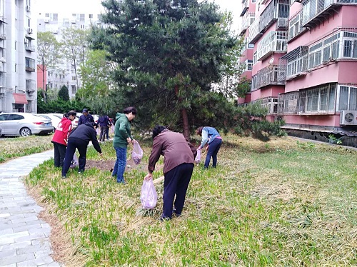 201804261524732033915555.jpg 389250409925370079.jpg