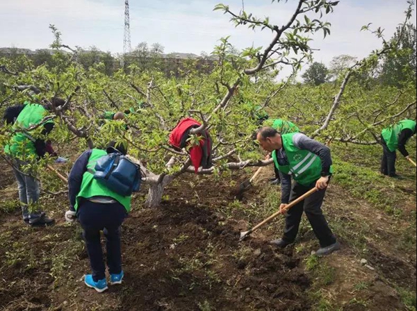 201804281524885187439038.jpg 微信图片_20180427111754.jpg