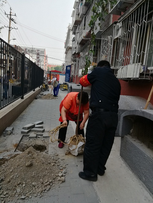 201805111526002799430145.jpg 微信图片_20180510165615.jpg