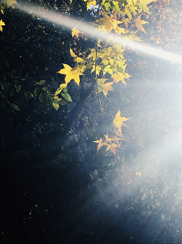 201809211537512438211084.png 图片3.png