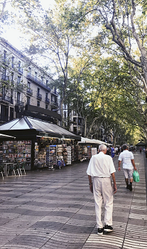 201809211537512464968446.png 图片5.png