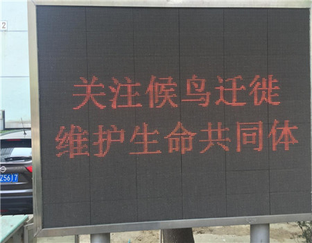 201904231555998113913571.jpg 1.jpg