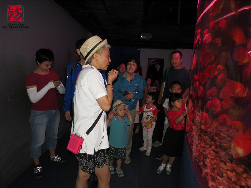 201908191566199095898672.jpg IMG_9328.JPG