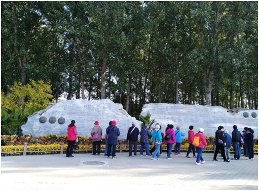 201911061573031566887690.png image.png