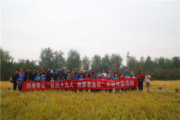 201710241508835439765404.png 图片1_副本.png