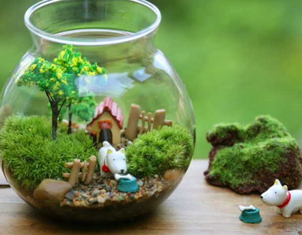 学院路街道创意生态瓶绿色学院路活动