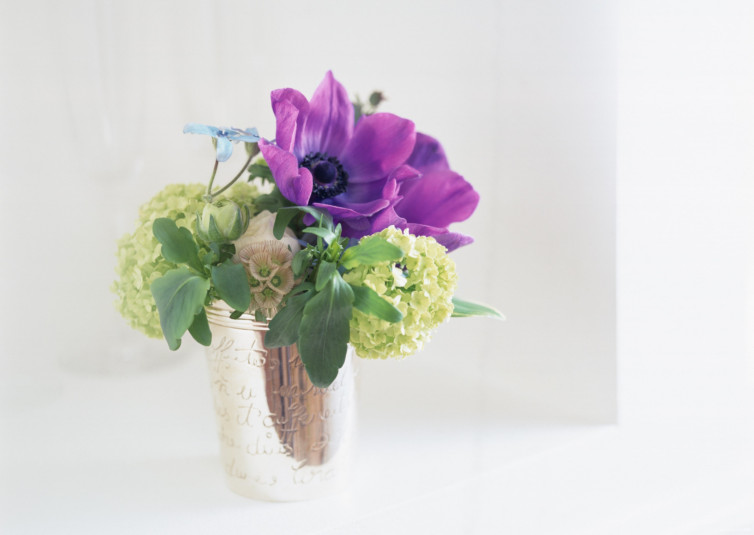 四季青镇振兴社区文化供给插花活动