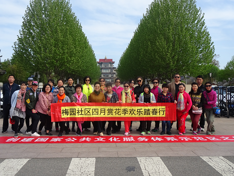 马连洼街道梅园社区举办四月赏花季欢乐踏春行健步走活动