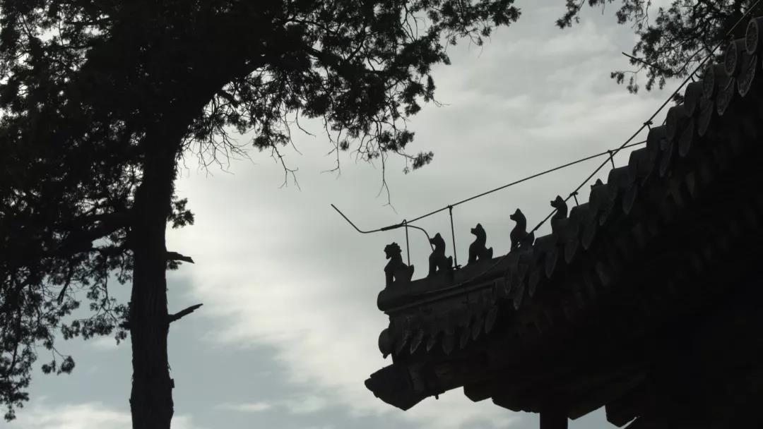 微信图片_20180824161943.jpg