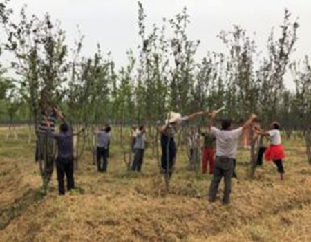 201809061536216165294685.jpg 1.jpg