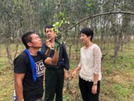 201809061536216171384022.jpg 2.jpg