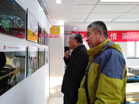 201812211545380365438573.jpg 图1:居民在欣赏摄影作品.jpg