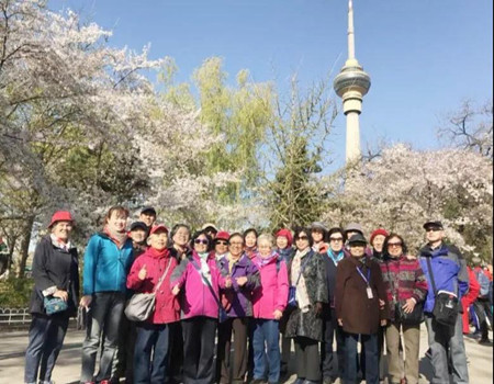 201904101554888870469365.jpg 2.jpg