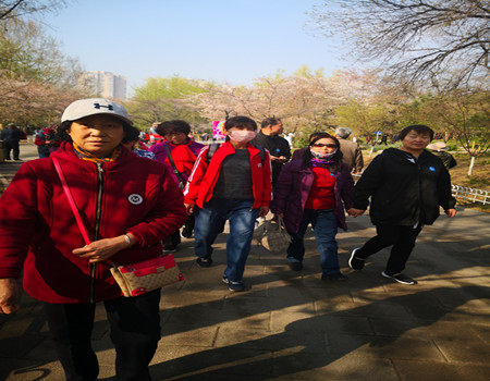 201904101554889047668315.jpg 2.jpg