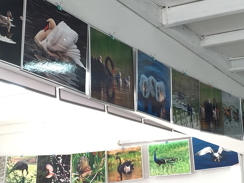 201904111554972311193451.jpg 微信图片_20190329104032.jpg