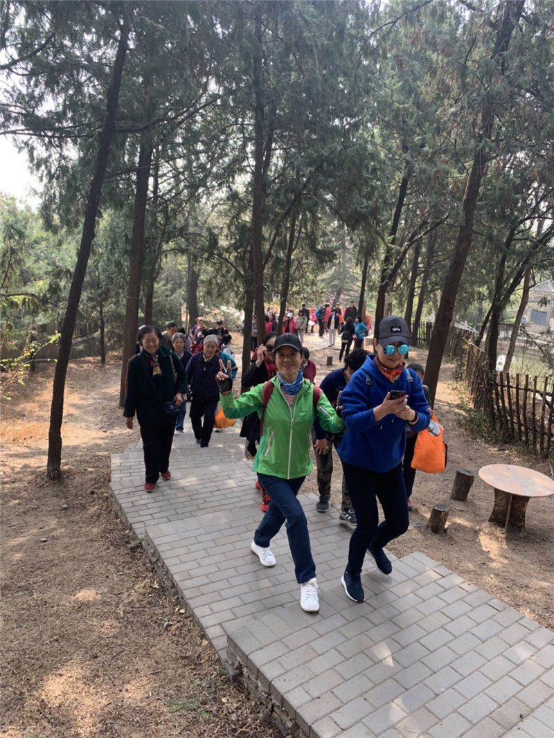 201904171555481624907356.jpg 576184078.jpg