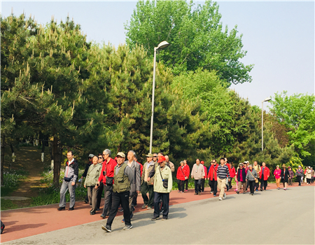 201905091557365146831362.jpg 健步一行人.jpg