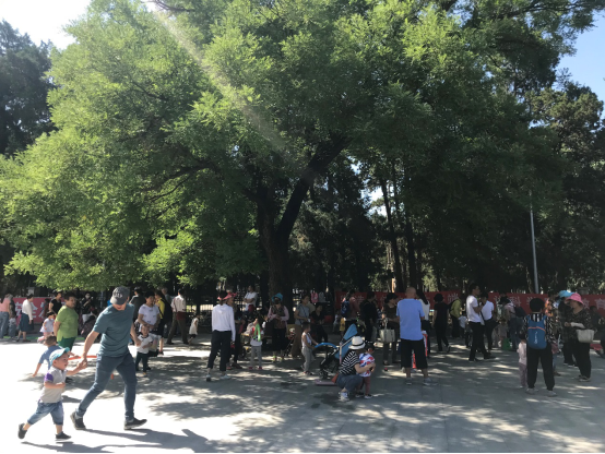 201905311559284368908380.png image.png