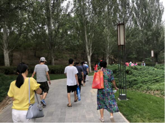 201906101560148532621192.png image.png