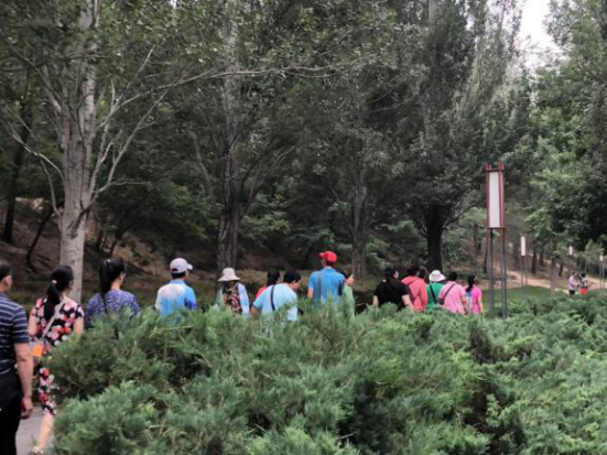 201906101560148547304855.png image.png