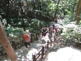 201906171560759170499734.png image.png