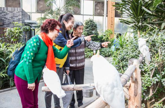 201911011572586888933581.png image.png