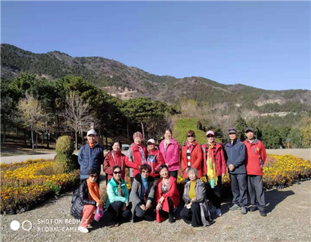 201911201574238060484976.jpg 1.jpg