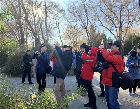 201912121576140140113074.jpg 3.jpg