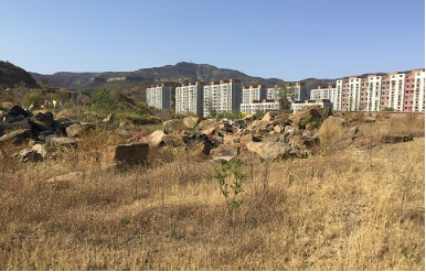 202002171581909828715031.png 铭家殿堂-与何钧一起“勘探“化石文化488.png