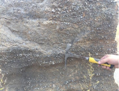 202002171581909878383330.png 铭家殿堂-与何钧一起“勘探“化石文化641.png