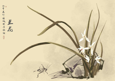 202003231584947382610474.jpg 兰花.jpg