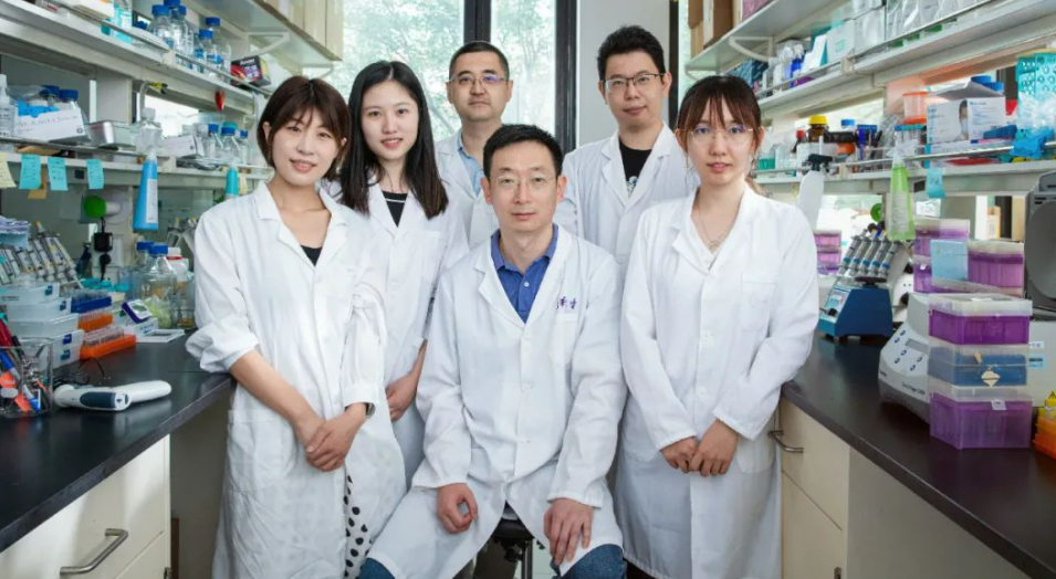 202206241656054894123709.png image.png