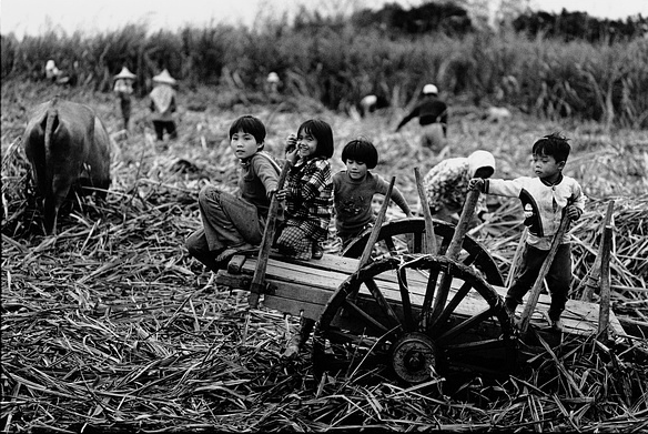 202404011711951397946236.png 图片3.png