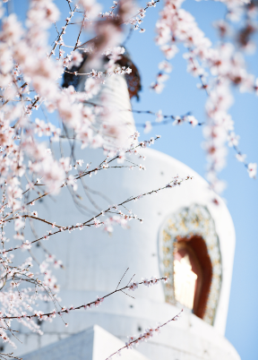 202404031712113599869225.png 图片2.png