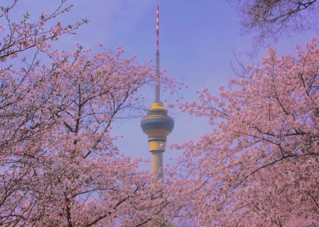 202404031712113618687645.png 图片3.png