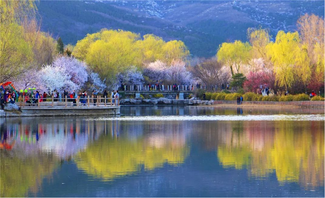 202404031712113649384331.png 图片4.png