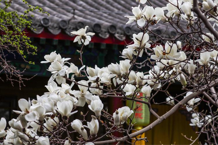 202404031712113690993786.png 图片5.png