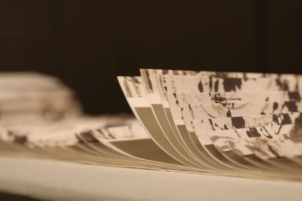 202404071712471649322179.png 图片7.png