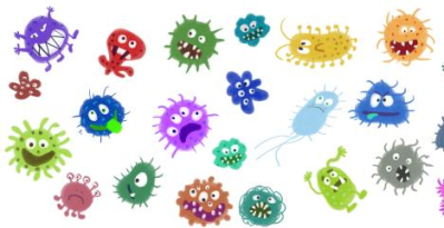 202406241719208117678866.png 图片1.png