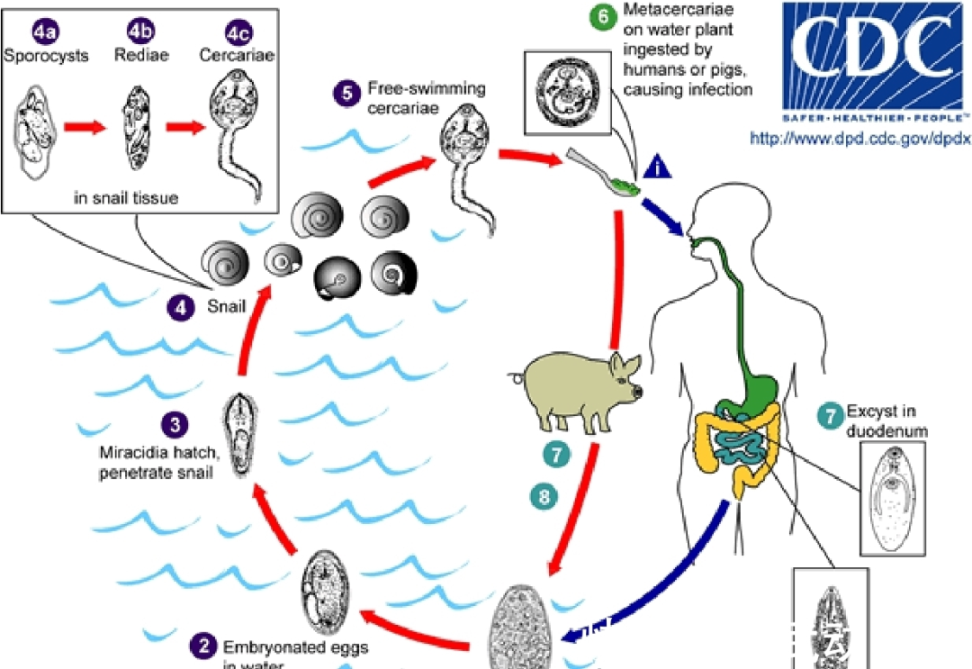 202406241719208125688522.png 图片2.png