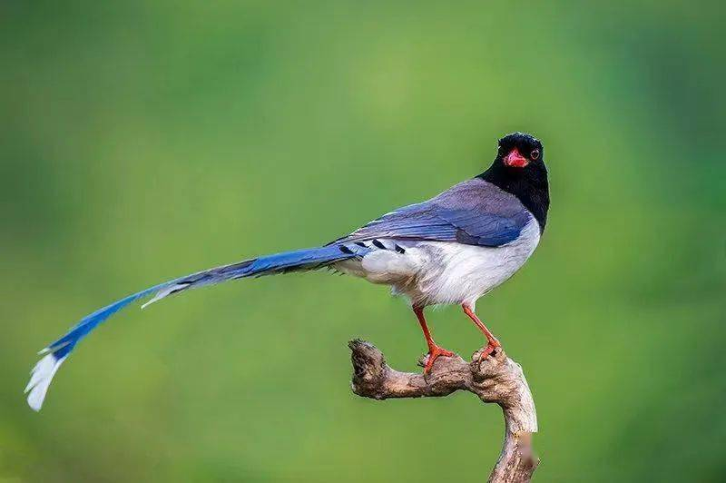 202407151721027265129922.png 图片3.png