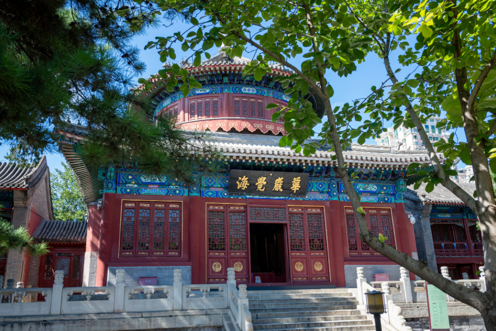 202409111726040273227610.png 图片2.png